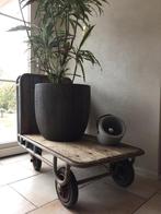 Vintage Magazijnwagen transportkar platte wagen, 100 liter of meer, Ophalen, Gebruikt, Transportkar