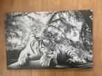 Poster tijger af te halen, Huis en Inrichting, Woonaccessoires | Schilderijen, Tekeningen en Foto's, Foto of Poster, 75 tot 100 cm
