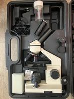 Microscoop!, Ophalen, Biologische microscoop