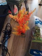 Aquarium, Dieren en Toebehoren, Vissen | Aquaria en Toebehoren, Ophalen of Verzenden, Gebruikt, Leeg aquarium