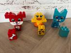 Duplo mijn eerste dieren, Ophalen of Verzenden, Zo goed als nieuw, Complete set, Duplo