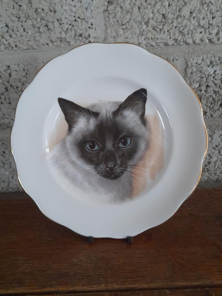 Wandbord - poezenkop - Bone China, Verzenden, Zo goed als nieuw, Hond of Kat, Beeldje of Figuurtje