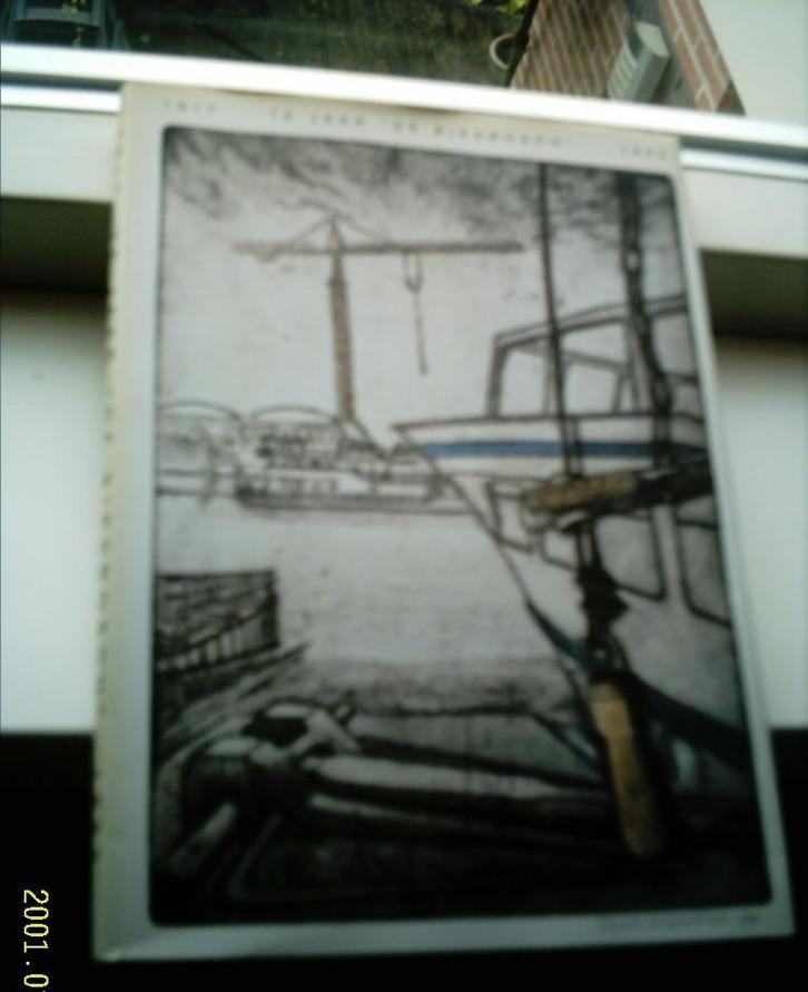 75 jaar B.V. Scheepswerf en Machinefabriek De Biesbosch., Boeken, Geschiedenis | Stad en Regio, Zo goed als nieuw, Ophalen of Verzenden