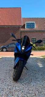 Suzuki GSX8R 35kW - A2 Begrensd!, Motoren, Quickshifter, 800 cc, 12 t/m 35 kW, Sport