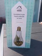 Kunstplantje in lampenglas, nieuw  11x11x22cm, Ophalen, Nieuw