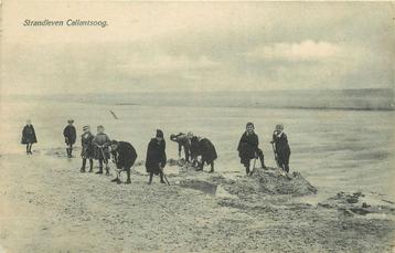 (701-034-033) Callantsoog Strandleven beschikbaar voor biedingen