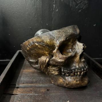 Realistiche mensen schedel lamp skelet beschikbaar voor biedingen