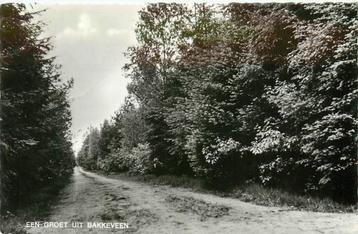 (388-470-057) Bakkeveen beschikbaar voor biedingen