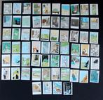 Volledige serie 64 chromos Kuifje Bobbie Hergé 1964, Verzamelen, Verzenden, Kuifje, Nieuw, Beeldje of Figuurtje