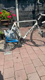 Koga team-edition Carbon racefiets, Fietsen en Brommers, Fietsen | Racefietsen, Ophalen, Carbon, Zo goed als nieuw, 57 tot 61 cm
