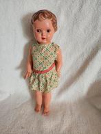 Schildpad Pop 'Bebilinchen' met Certificaat, Ophalen of Verzenden, Gebruikt, Overige typen