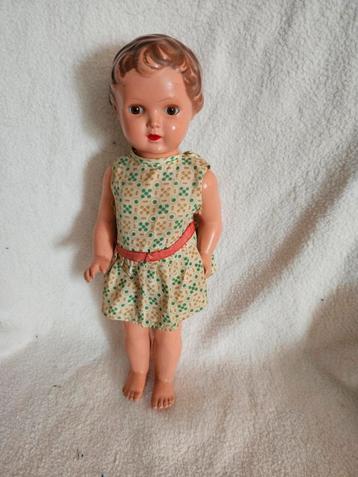 Schildpad Pop 'Bebilinchen' met Certificaat beschikbaar voor biedingen