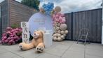 Decoratie te huur, Babyshower, gender reveal, bedrijfsfeest, Ophalen of Verzenden, Zo goed als nieuw, 110 cm of meer, Minder dan 65 cm