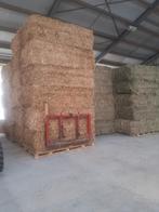 Duits weidehooi, Zakelijke goederen, Agrarisch | Veevoer, Ophalen of Verzenden