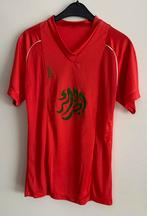 Match Worn Shirt - Algerije 1985, Shirt, Gebruikt, Verzenden, Buitenlandse clubs