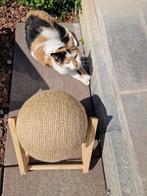 Katten speelgoed bal., Dieren en Toebehoren, Ophalen of Verzenden, Zo goed als nieuw