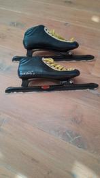 Viking Nagano klapschaatsen maat 45, Sport en Fitness, Schaatsen, Ophalen, Gebruikt, Noren, Viking