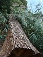 Stam wilgen hout, Tuin en Terras, Haardhout, Ophalen, Overige houtsoorten, Stammen