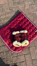 Mooi bordeaux rood setje in nette staat, Dieren en Toebehoren, Paarden en Pony's | Dekens en Dekjes, Ophalen of Verzenden, Zo goed als nieuw