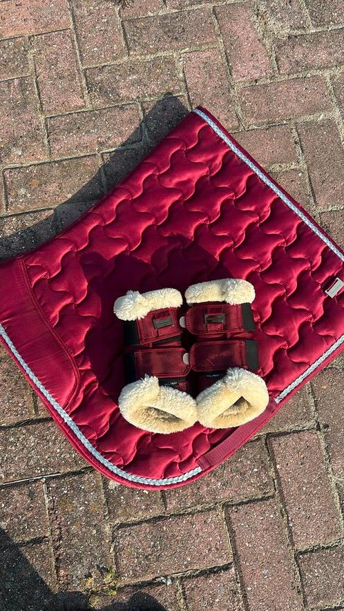 Mooi bordeaux rood setje in nette staat, Dieren en Toebehoren, Paarden en Pony's | Dekens en Dekjes, Zo goed als nieuw, Ophalen of Verzenden