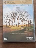 big fish, Alle leeftijden, Ophalen of Verzenden, Zo goed als nieuw
