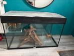 Aquarium / gerbil verblijf, Ophalen, Zo goed als nieuw, Leeg aquarium