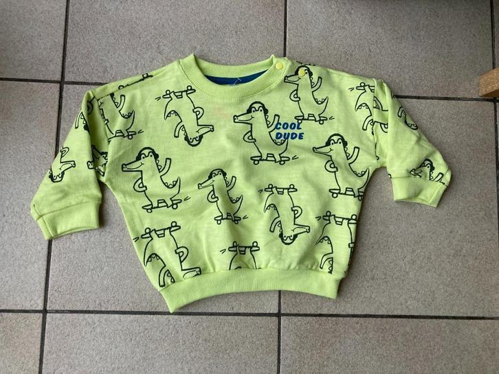Nieuwe trui met dino's - Maat 80, Kinderen en Baby's, Babykleding | Maat 80, Nieuw, Jongetje, Truitje of Vestje, Ophalen of Verzenden