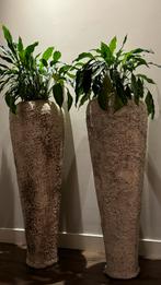 Hoge plantenpotten - Stijlvolle decoratie prijs per stuk, Huis en Inrichting, Woonaccessoires | Vazen, Steen, Overige kleuren
