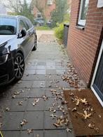 GRATIS STOEPTEGELS EN GRINDTEGELS! Laatste kans, Ophalen, Zo goed als nieuw, 10 m² of meer, Beton