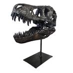 Prachtige T-rex schedel op metalen standaard - 30 cm, Ophalen of Verzenden, Nieuw, Overige typen