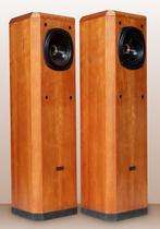 Tanniy D300 Luidsprekers, Zo goed als nieuw, 60 tot 120 watt, Front, Rear of Stereo speakers, Ophalen