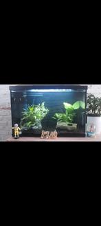 Aquarium 60 liter, Dieren en Toebehoren, Vissen | Aquaria en Toebehoren, Ophalen, Zo goed als nieuw, Leeg aquarium