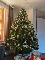 Nordmann kerstboom 225cm, Ophalen of Verzenden