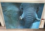 Groot schilderij van een olifant, Huis en Inrichting, Woonaccessoires | Schilderijen, Tekeningen en Foto's, Schilderij, Zo goed als nieuw