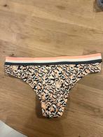 Prima donna string maat 38 NIEUW!! Nu €10,-, Ophalen of Verzenden, String