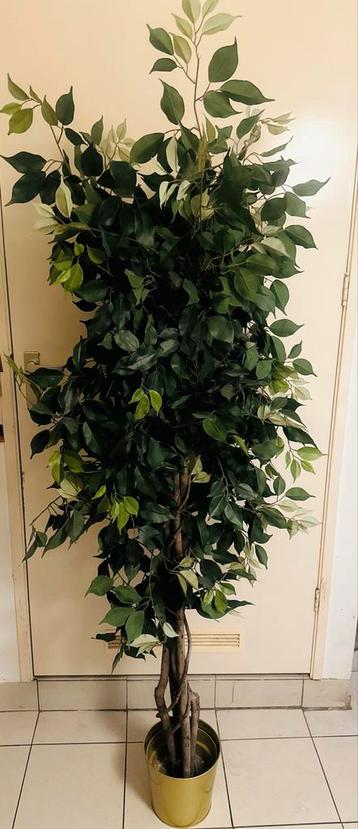 Kunstplant Ficus in Pot - Mooie Decoratie! beschikbaar voor biedingen