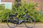 Koga E Nova elektrischefiets Slechts 785km! Bosch Active, Zo goed als nieuw, 51 tot 55 cm, 50 km per accu of meer, Ophalen