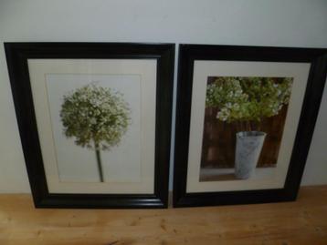 Wissellijst fotolijst zwart hout met glas beschikbaar voor biedingen