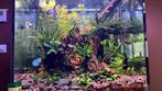70/50/60, Dieren en Toebehoren, Vissen | Aquaria en Toebehoren, Ophalen of Verzenden, Zo goed als nieuw, Leeg aquarium