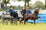 hackney concours kar, Dieren en Toebehoren, Gebruikt, Overige typen, Pony