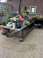 Magazijntafel, werkplaatstafel, presentatietafel, Tuin en Terras, Tuintafels, Ophalen, Zo goed als nieuw, Rechthoekig, Hout