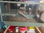 hamsterkooi, Ophalen, Kooi, 60 tot 90 cm, Minder dan 75 cm