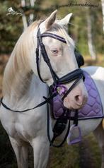 Nieuw! Zwart leren glitter hoofdstel full cob piny shet, Ophalen of Verzenden, Nieuw, Dressuur