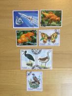 Sharjah dieren, Postzegels en Munten, Postzegels | Thematische zegels, Ophalen of Verzenden, Postfris, Dier of Natuur