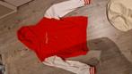 Exclusieve Tommyinnit trui. Maat M. Heren en Dames, Maat 48/50 (M), Tommyinnit, Ophalen of Verzenden, Gedragen