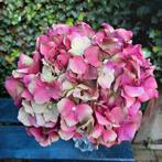 Zijden Hortensia's Kunstbloemen Sober Landelijk, Ophalen of Verzenden, Nieuw, Binnen