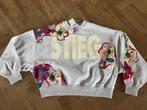 Nieuw met kaartjes Stieglitz Gitana sweater maat S, Kleding | Dames, Truien en Vesten, Ophalen of Verzenden, Nieuw, Maat 36 (S)