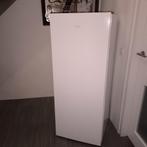 Vriezer kastmodel, Ophalen, Gebruikt, Minder dan 60 cm, 140 tot 160 cm