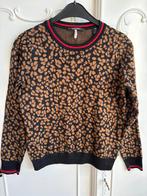 Zgan trui merk Scotch & Soda maat XS, Ophalen of Verzenden, Zo goed als nieuw, Maat 34 (XS) of kleiner