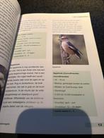 Mooi vogelboek, Boeken, Ophalen of Verzenden, Zo goed als nieuw